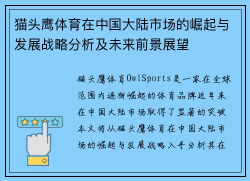 猫头鹰体育在中国大陆市场的崛起与发展战略分析及未来前景展望